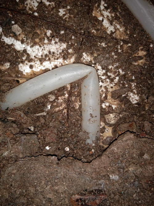 遂川堵点精准查找